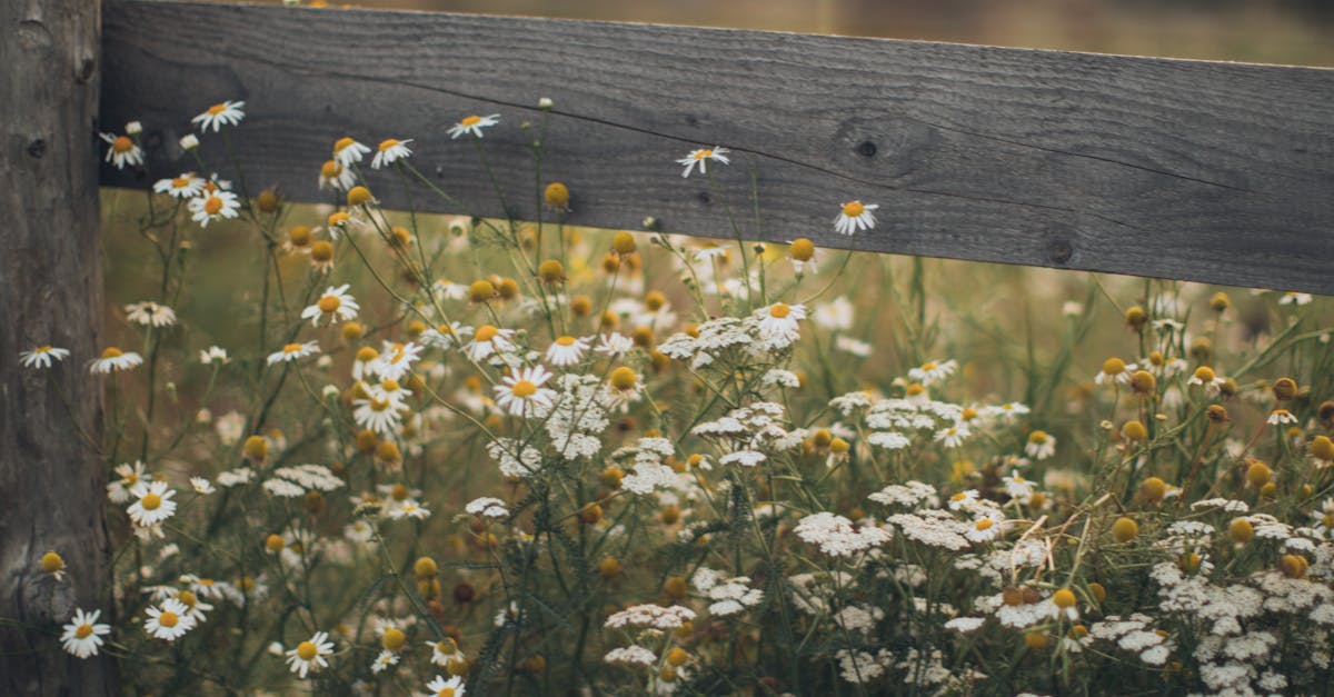 Fence gate installation