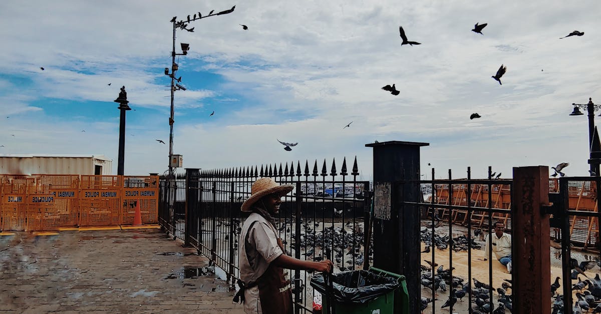 How to clean a Colorbond gate?