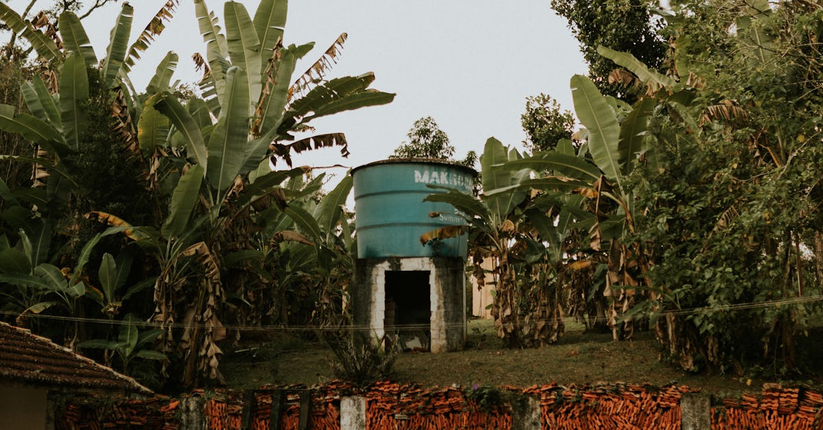 What is the best paint for a pole fence?