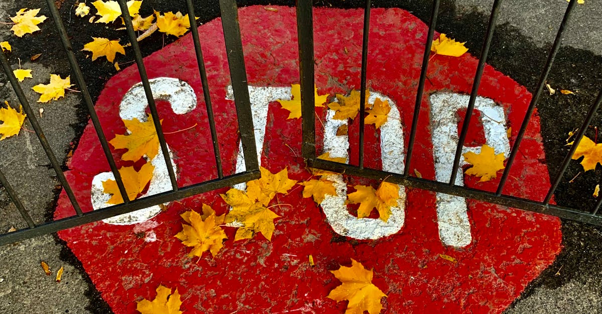 What kind of paint do you use on a gate?